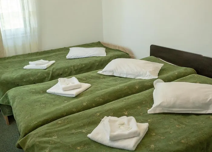 Curtea BrancoveneascăPensiune